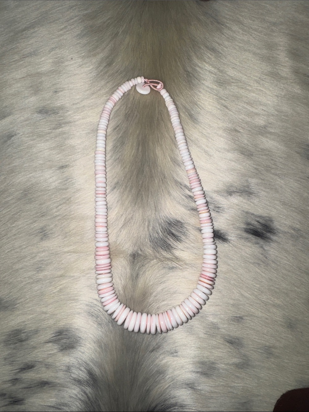 Pink Conch 20 inch Necklace